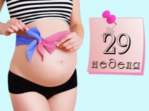 ����� ����������� � �������� ���������� ��� ������� ��� �� ������� �MYMAMMY� (����)