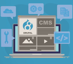 Услуги по поддержке интернет проектов на CMS Drupal (Фото)