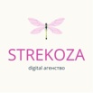 digital агентство strekoza-продвижение вашего бизнеса в сети (Фото)