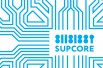 Сопровождение it инфраструктуры - it Аутсорсинг в Владивостоке (Фото)