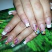 �������� shellac - 30%, ����� (����)