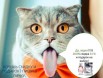 Приглашаю в команду avon (Фото)