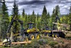 ��������� ������������������� �������, ������������ (����)