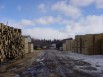 Сдам в аренду или продам лесопильный цех (Фото)