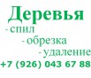 Удаление крон деревьев. Удалить дерево. Спил деревьев., Москва (Фото)