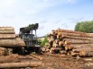 Действующее лесопромышленное предприятие. Продажа, Екатеринбург (Фото)
