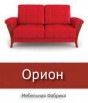 Мебельная фабрика «Орион» в Санкт-Петербурге (Фото)