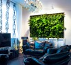 Фитостены, фитокартины, фитоколонны, фитоводопады, Белгород (Фото)