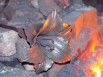 Приём цветного лома дорого, Шушары, Санкт-Петербург (Фото)