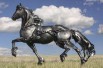 Купим цветной лом меди. Пушкин на выгодных для Вас условиях в Санкт-Петербурге (Фото)