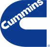 Валютный контракт на поставку з/ч cummins оптом с завода.Без посредников РФ в Санкт-Петербурге (Фото)