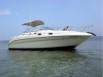 Продаётся катер спортивно-круизный sea rey 260 sundancer 2005г, Санкт-Петербург (Фото)