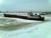 Сдам в аренду сухогруз (Фото)