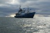 ПТР-50 сдам во фрахт Карское море, Обская губа, Байдарацкая губа, Енисей, Салехард (Фото)