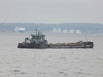 Предлагаем в долгосрочный и краткосрочный фрахт судно ШС-55 (Фото)
