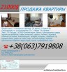 ������ �������� 21000 �.�., ������ ��� (����)