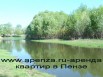 Сдаю квартиру от2-3 дн. до 2-3 мес. Собственник, Пенза (Фото)