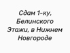 Сдам 1-ку, Белинского Этажи, в Нижнем Новгороде (Фото)
