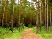 Домик на участке 6 сот поблизости от г. Домодедово (+) (Фото)