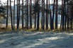 Домик на участке 8.5 сот. в черте г.Домодедово, 14 км от МКАД (Фото)