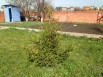 Продам дачу от собственника в Вишняках (Фото)