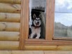 Продается 2-х этажный дом для круглогодичного проживания площадью 99 м2 в Владимире (Фото)
