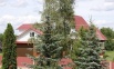 Продается новый 2-х эт. дом 250 м2 (брус) на участке 30 соток Талдомский район, Москва (Фото)