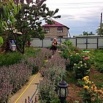 Отличный дом 97 кв.м на 26 сотках село Михайловское Северский район. Краснодарский край. (Фото)