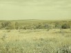 Продаю земельный участок под ИЖС 15 соток, Тула (Фото)