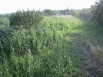 Продаю земельный участок под дачу «Садоводческое некоммерческое товарищество» «СНТ» в Туле (Фото)