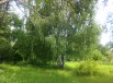 Продам участок на берегу Волги 34 сотки под ИЖС в Твери (Фото)