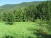Крым! Продам земельный участок, Новороссийск (Фото)