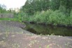 Земля на берегу реки в Томске (Фото)