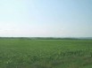 Продам землю дешево в Пензе (Фото)