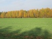 Земельный участок - 103 га, Завьяловский р-н, Удмуртия в Ижевске (Фото)