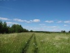 Земельный участок площадью 230 га (сельхозугодья), Завьяловский р-н, Удмуртия, Ижевск (Фото)
