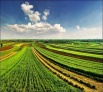 Продам земли сельхоз назначения 8000 га (3750р. 1га.), Ульяновск (Фото)