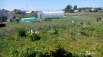 Продается земельный участок с домом, Новосибирск (Фото)