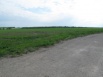 С/Х земля Лаишевский р-н с.Кирби, 25 км от Казани (Фото)