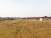 Участок Борок. Смоленск. (Фото)