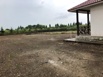Продам Земельный участок 12, 28 соток с домом 41 м2 в Сочи, ул. Трубачева 31 (Фото)