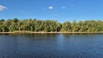 Продаю участок 25 соток на реке Свирь - первая линия, тишина и панорамные виды в Санкт-Петербурге (Фото)