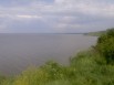 Продам участок 24 сотки. Ростовская область. Таганрог. Берег. Река. Море. (Фото)