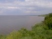 Земельные участки 9 и 15 соток. На берегу реки. Лиман. Таганрог. Море. Ростовская область. (Фото)
