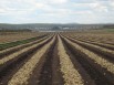 Земельные участки в собственности (Фото)