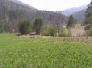 Горный Алтай. Земельный участок 9,5 Га, Барнаул (Фото)