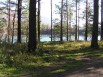 Горный Алтай. Земля на берегу Катуни. 2 Га в Барнауле (Фото)