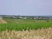 Продажа земельных участков сельхозназначения в Ростовской области (Фото)