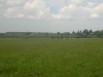 Продается фермерское хозяйство, земля 112ГА в г. Чебоксары (Фото)