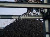 Гарантированные поставки качественного угля в Красноярске (Фото)